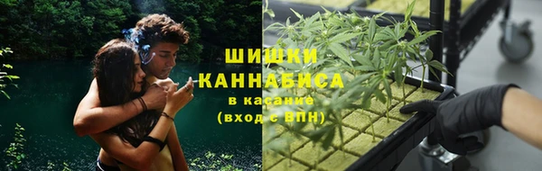 MDMA Богородицк