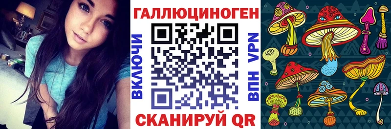 сколько стоит  Донской  Псилоцибиновые грибы Cubensis 